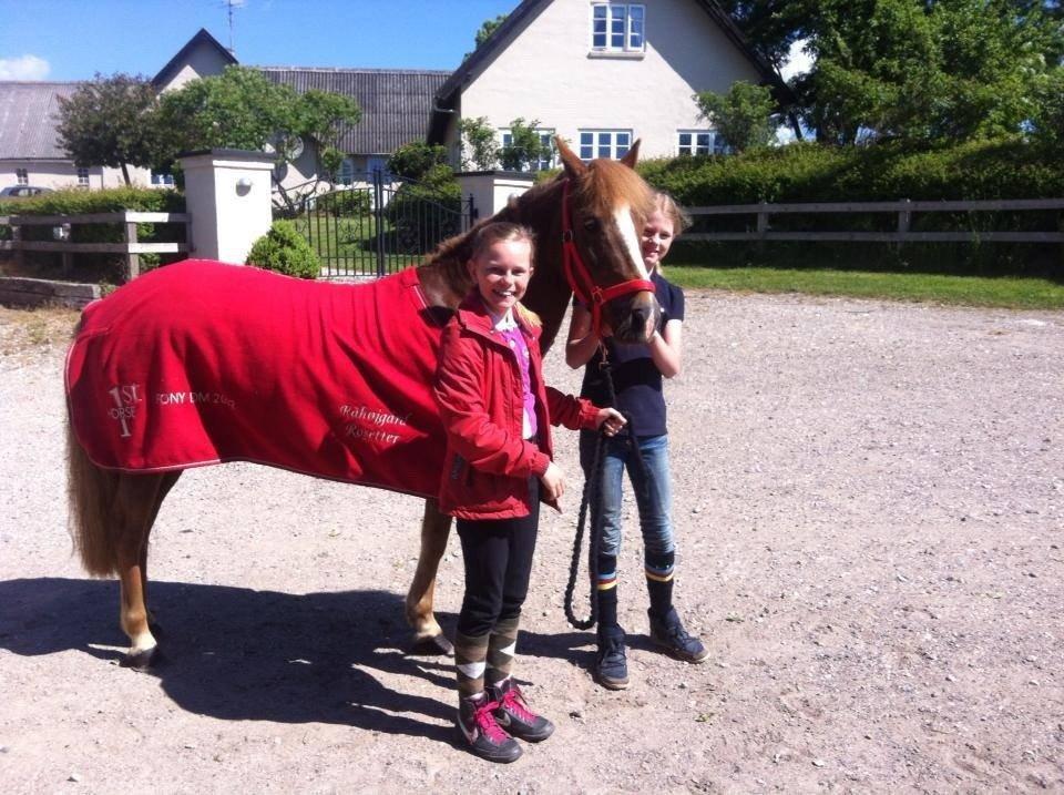 Anden særlig race Vesterbygårds Freja SOLGT - Da vi hentede hende d. 5/06-2013 hos familien Weilsby<3 billede 3