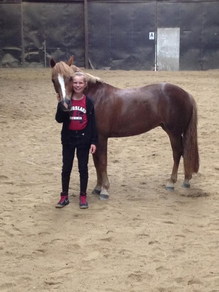 Anden særlig race Vesterbygårds Freja SOLGT billede 8