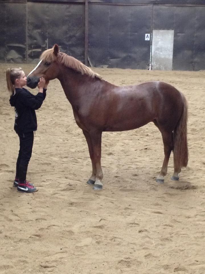 Anden særlig race Vesterbygårds Freja SOLGT billede 9