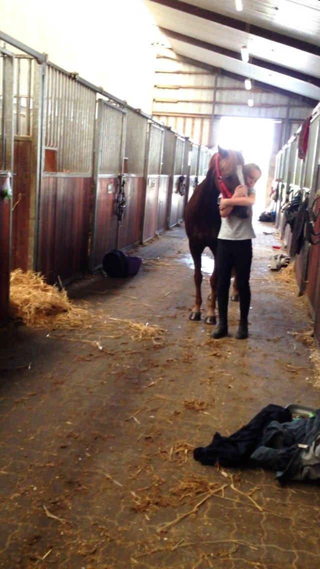 Anden særlig race Vesterbygårds Freja SOLGT billede 10