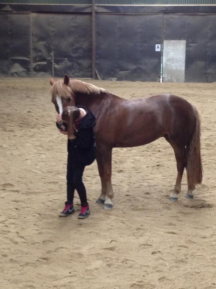 Anden særlig race Vesterbygårds Freja SOLGT billede 11