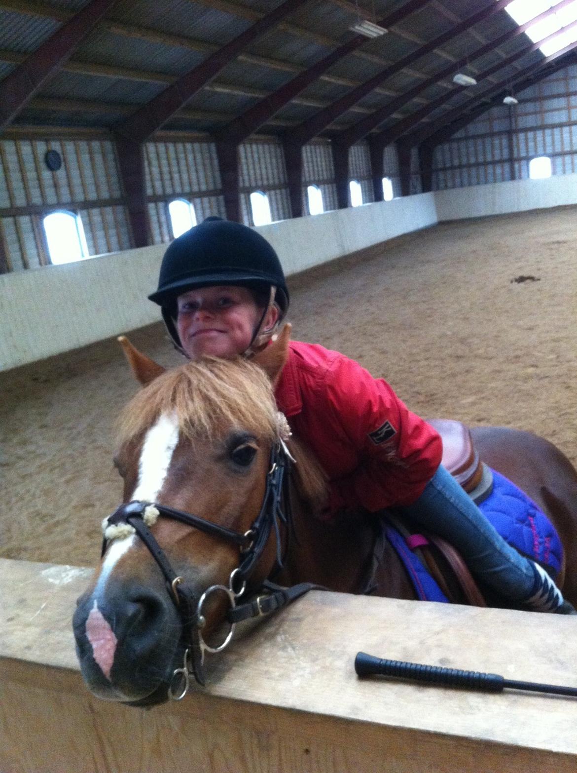 Anden særlig race Vesterbygårds Freja SOLGT billede 18