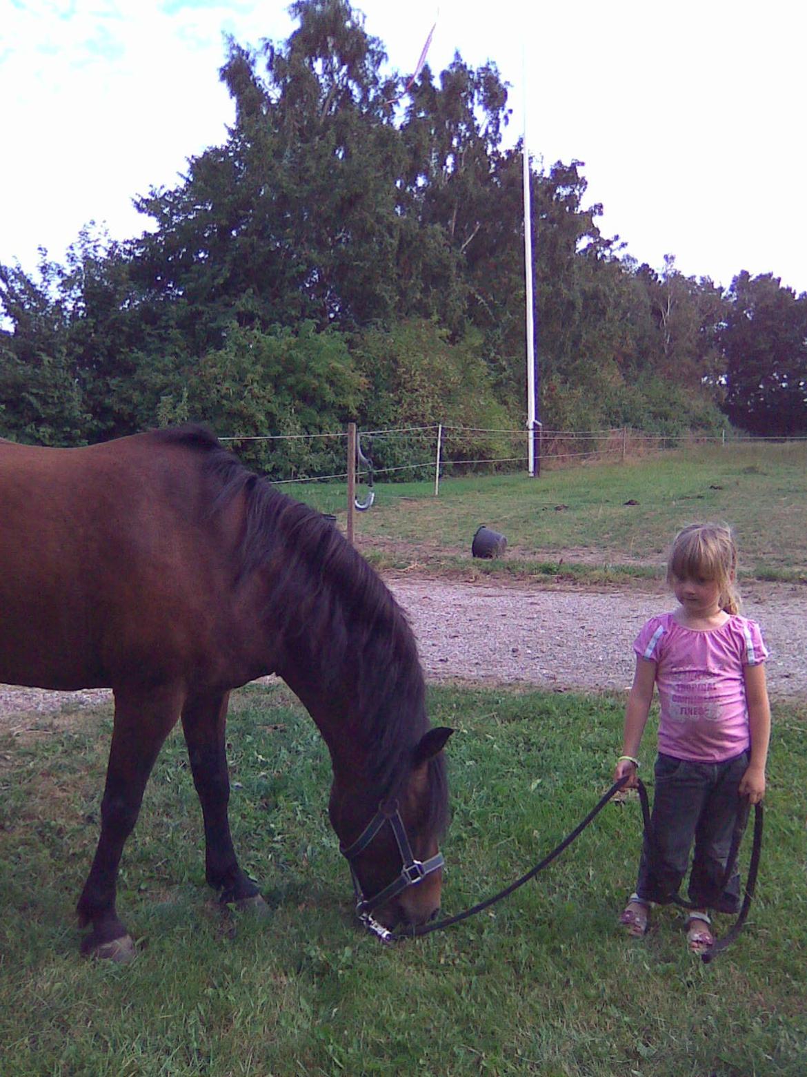 Anden særlig race Joker billede 7