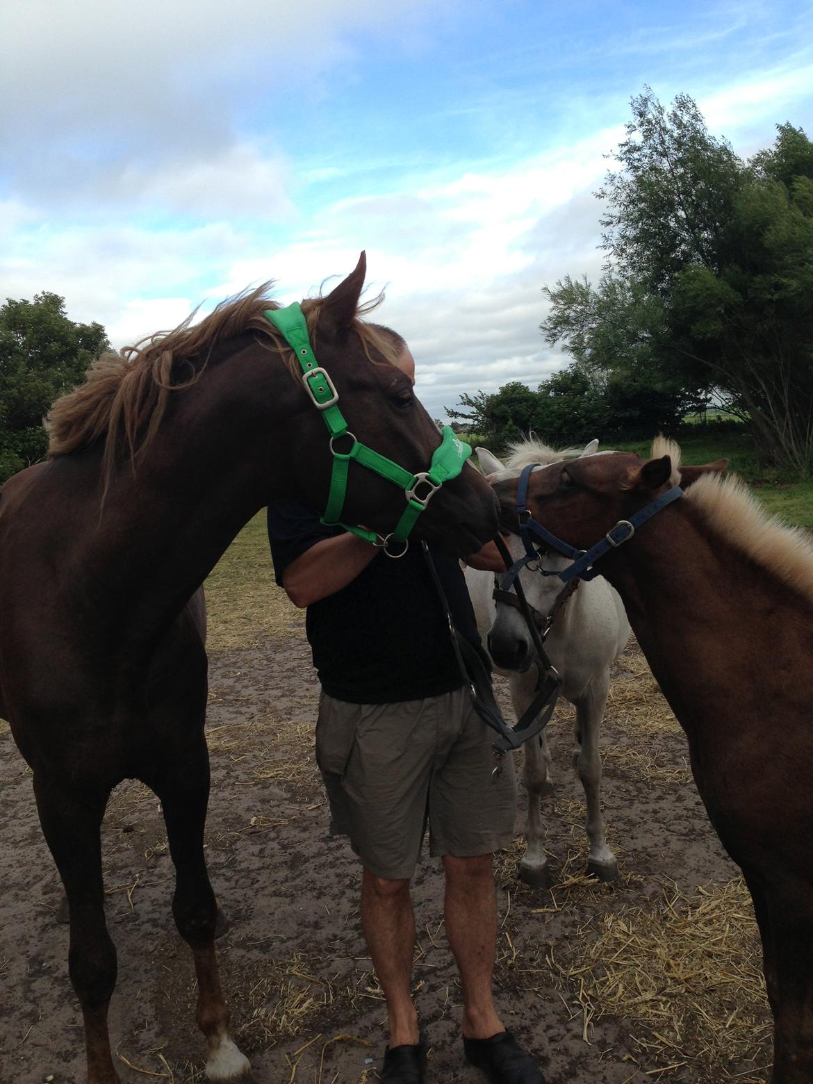 DSP Zippo on fire - Zippo og Far Baloo billede 9