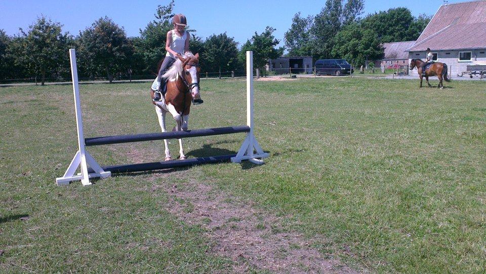 Pinto Indurain Delight - Den Brogede Skønhed - Mig og indu der springer billede 29