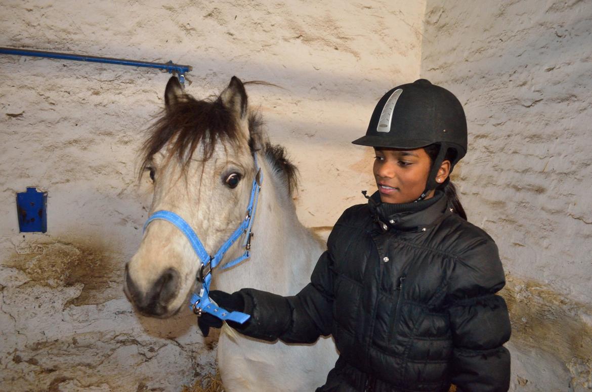 Welsh Mountain (sec A) Milkyway (min part) billede 9