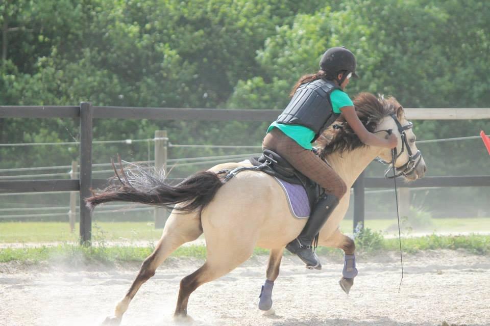 Welsh Mountain (sec A) Milkyway (min part) billede 10