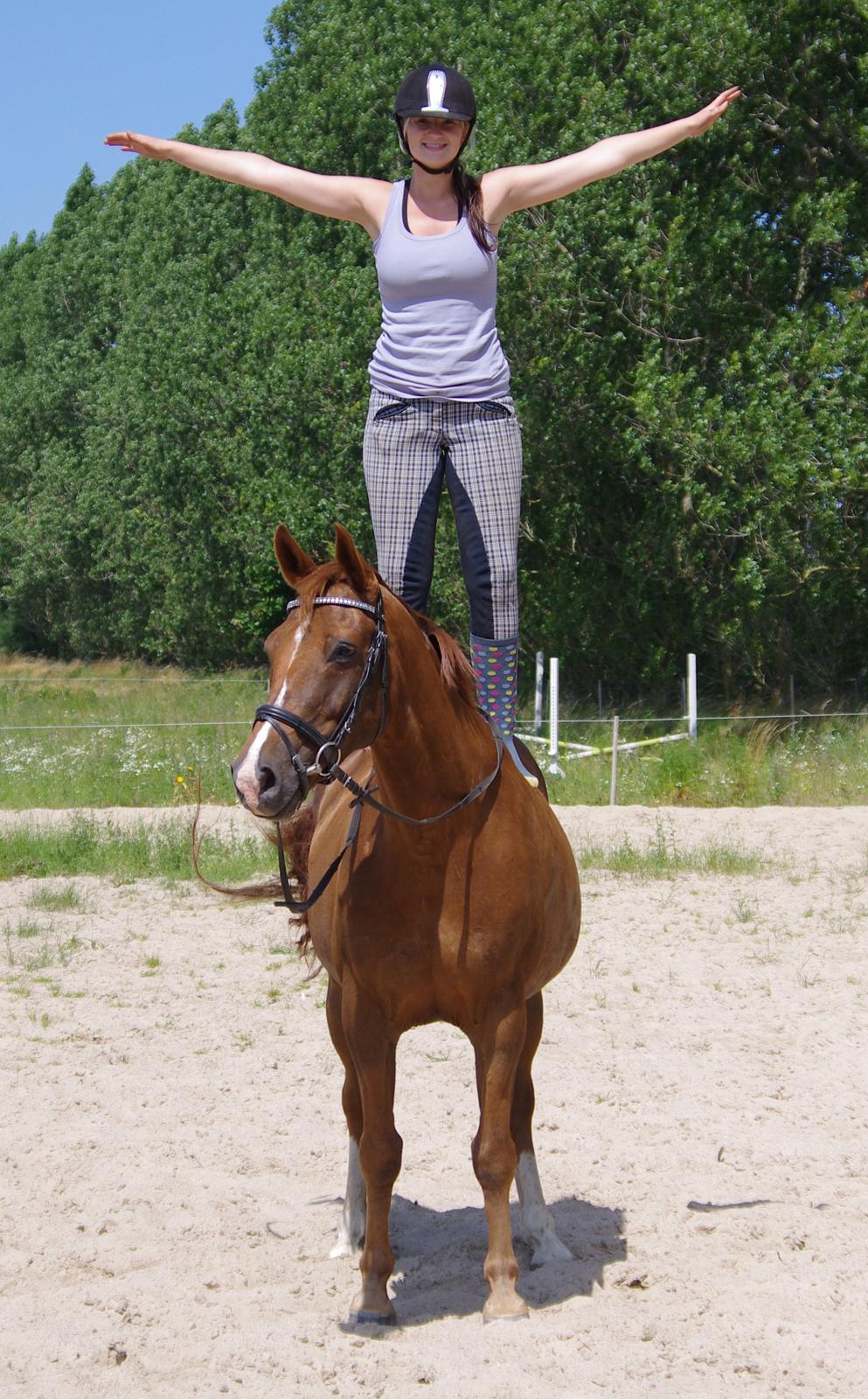 Anden særlig race Kosmo billede 17