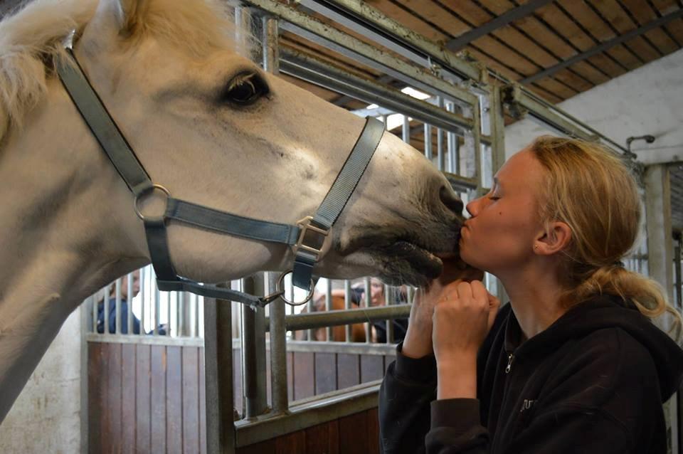 Anden særlig race Bandit <3 - Soulmate billede 3