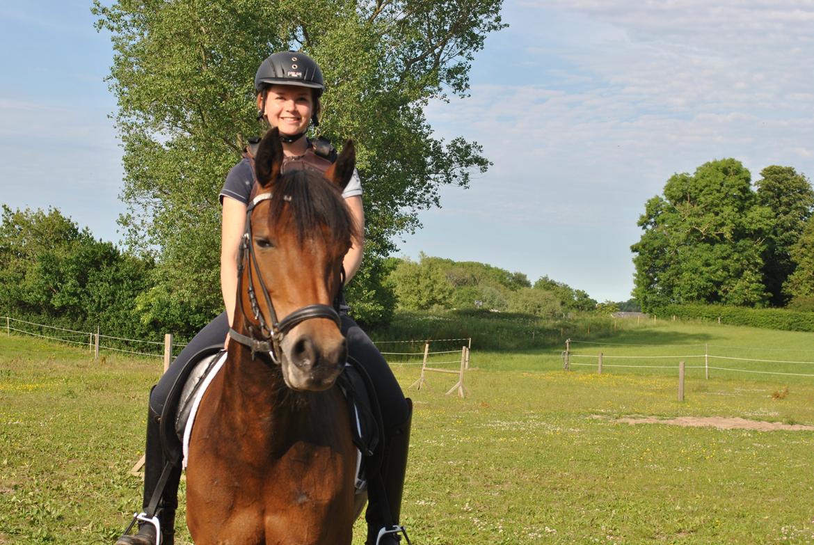 Anden særlig race Chamelli billede 9