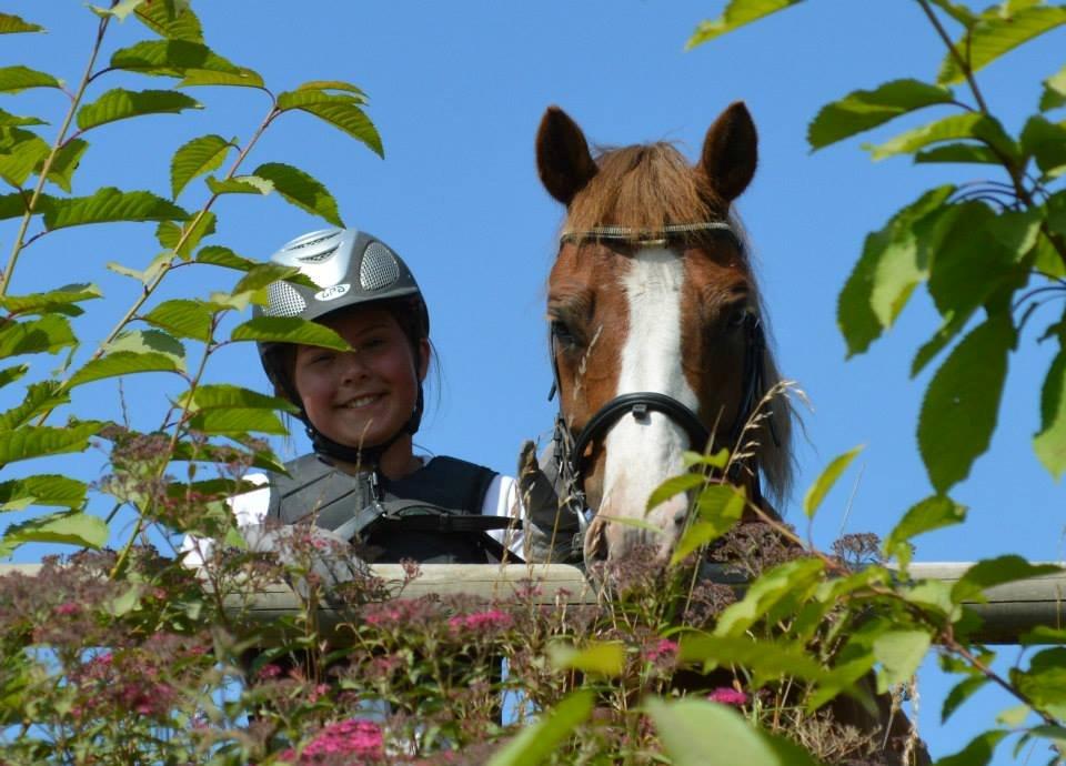 Tysk Sportspony Sultan(Sulle) <3 - Tak for en fed ridelejer <3
Taget af: Ida Heidensleben Thorsen <3 billede 15