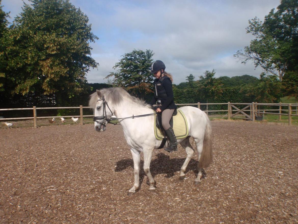 Anden særlig race William (Villy) - Willy og Inge-Lise:) billede 3