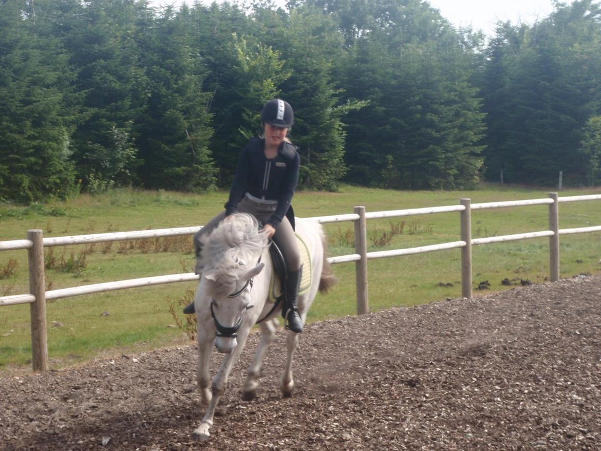 Anden særlig race William (Villy) - Se Hvor fin han er!:) billede 6