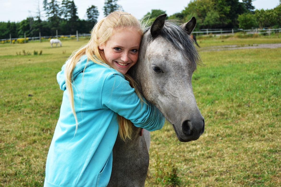 Welsh Pony (sec B) Bjerregårds May Flower billede 21