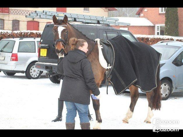 Anden særlig race jamie billede 26
