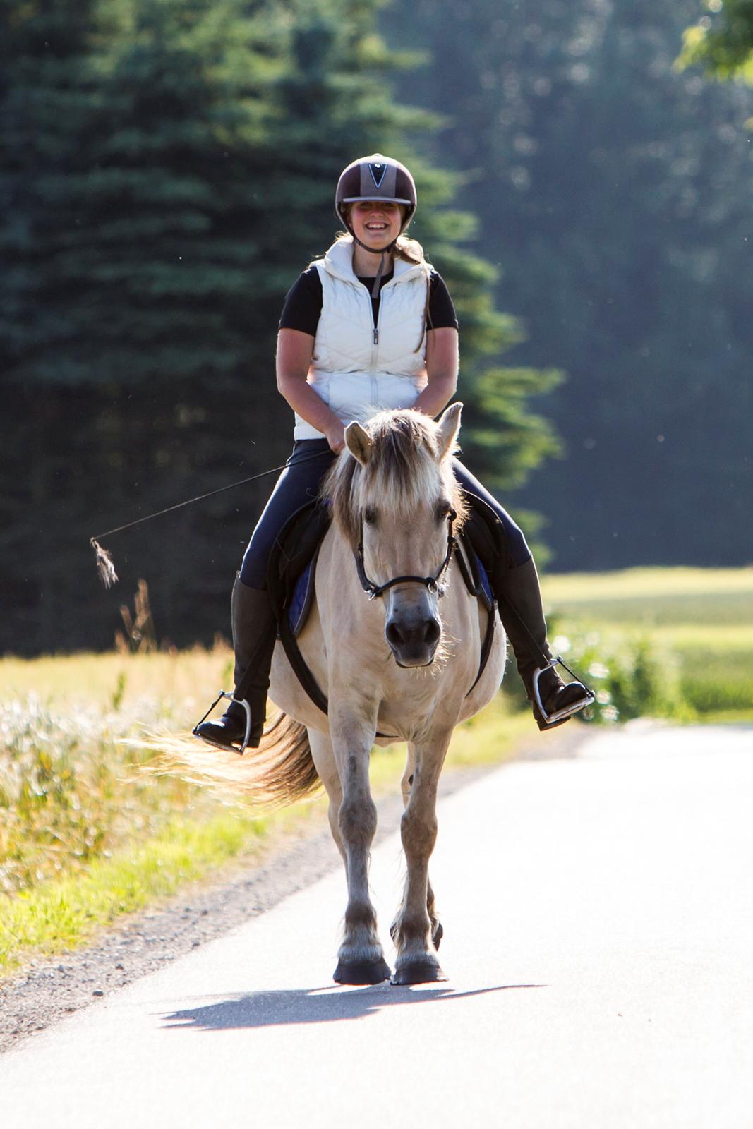 Fjordhest Lulu billede 12