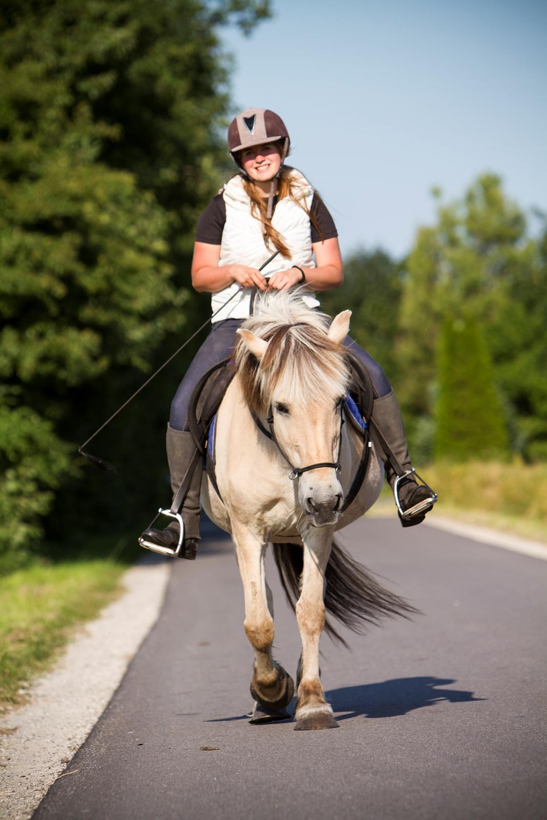 Fjordhest Lulu billede 4