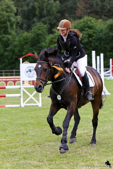Anden særlig race Pondus - D4 Horseshow 2013 billede 19