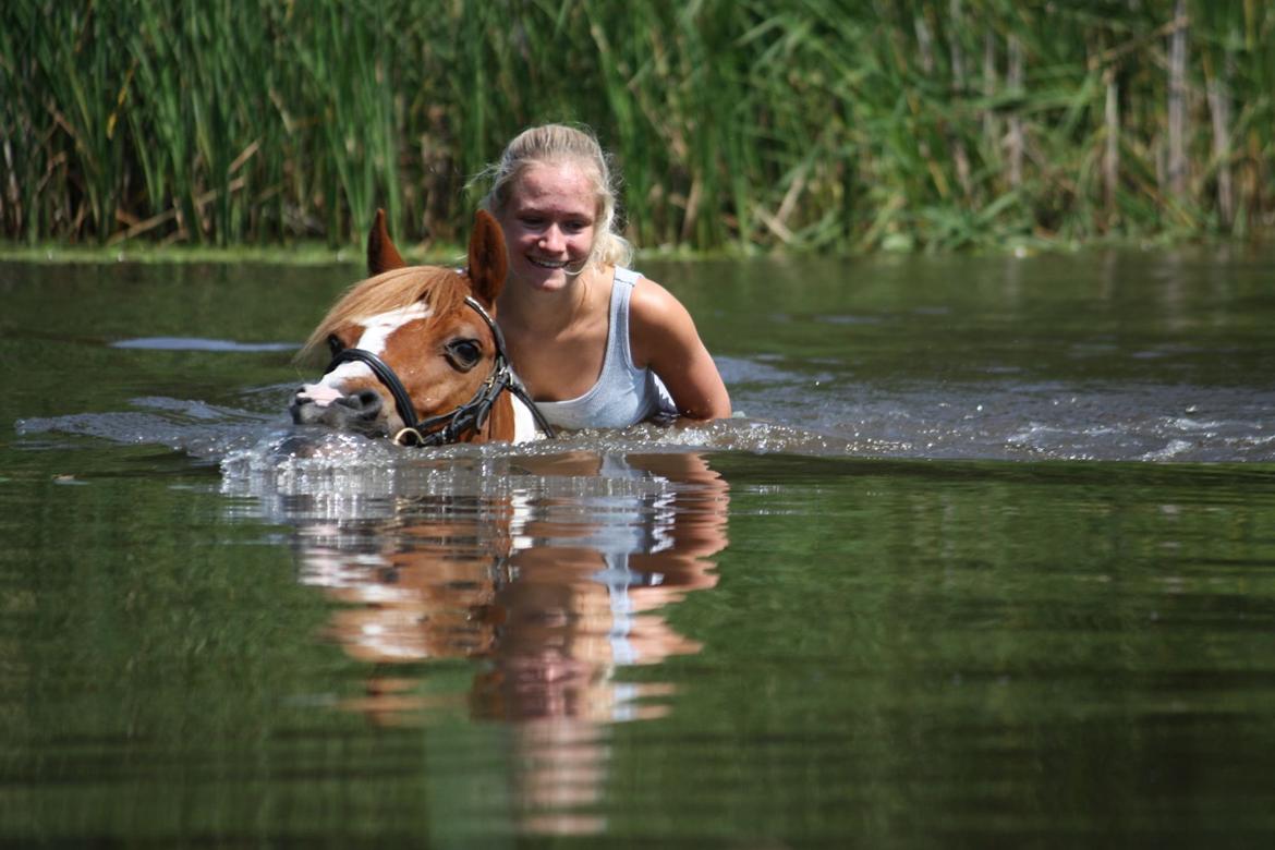 Pinto Blade - Bader med skatten <3 billede 20