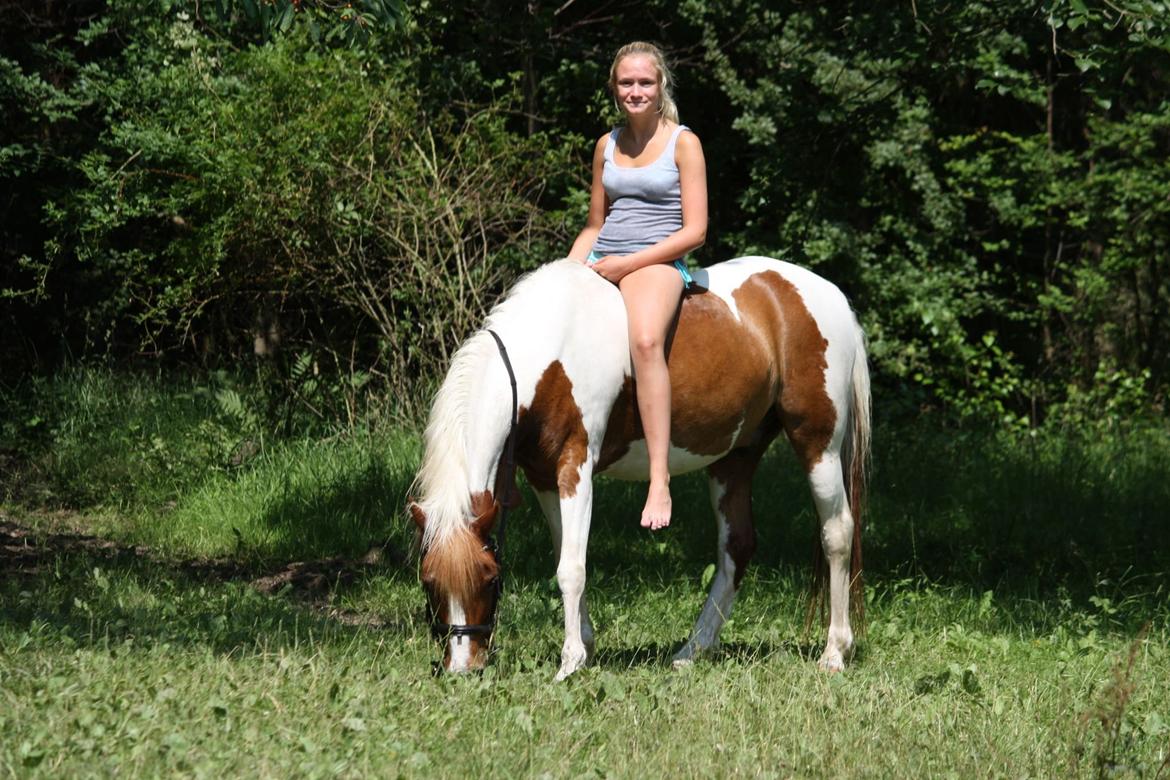 Pinto Blade - <3<3<3<3 billede 22