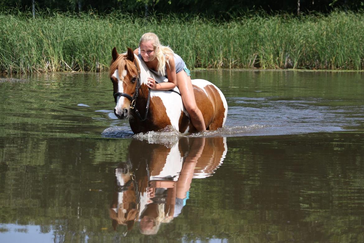 Pinto Blade - <3<3<3<3 billede 21