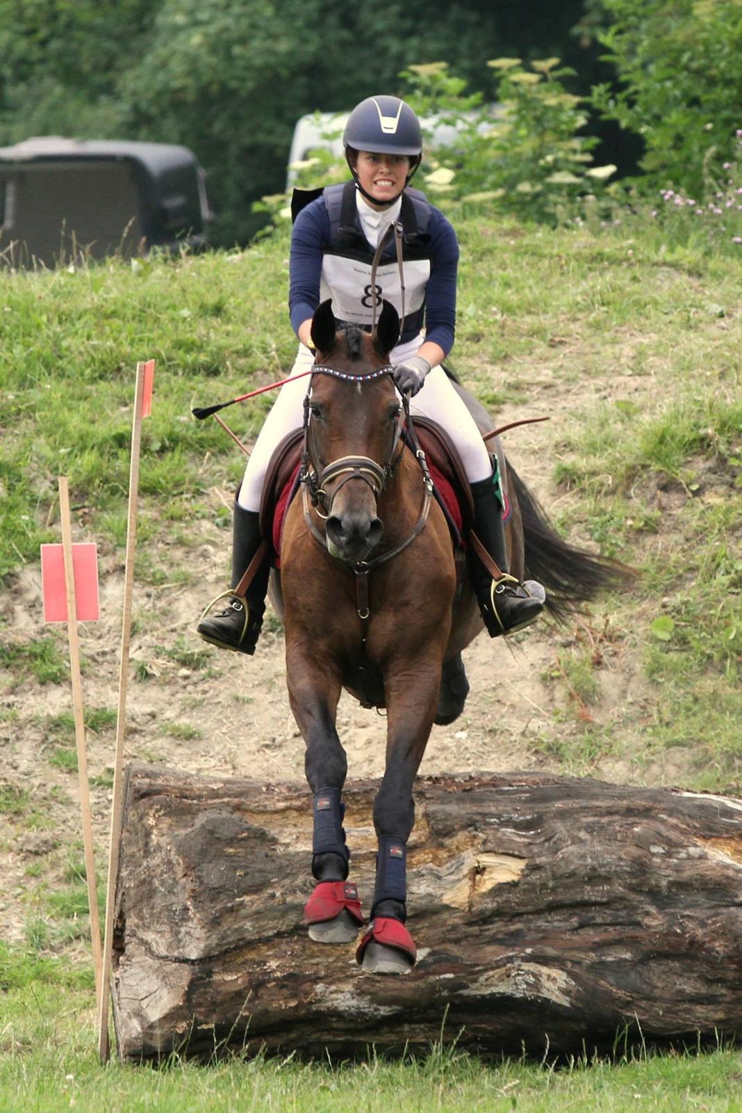 Dansk Varmblod Fyrstinde Temptation S.G. - Wee! billede 11