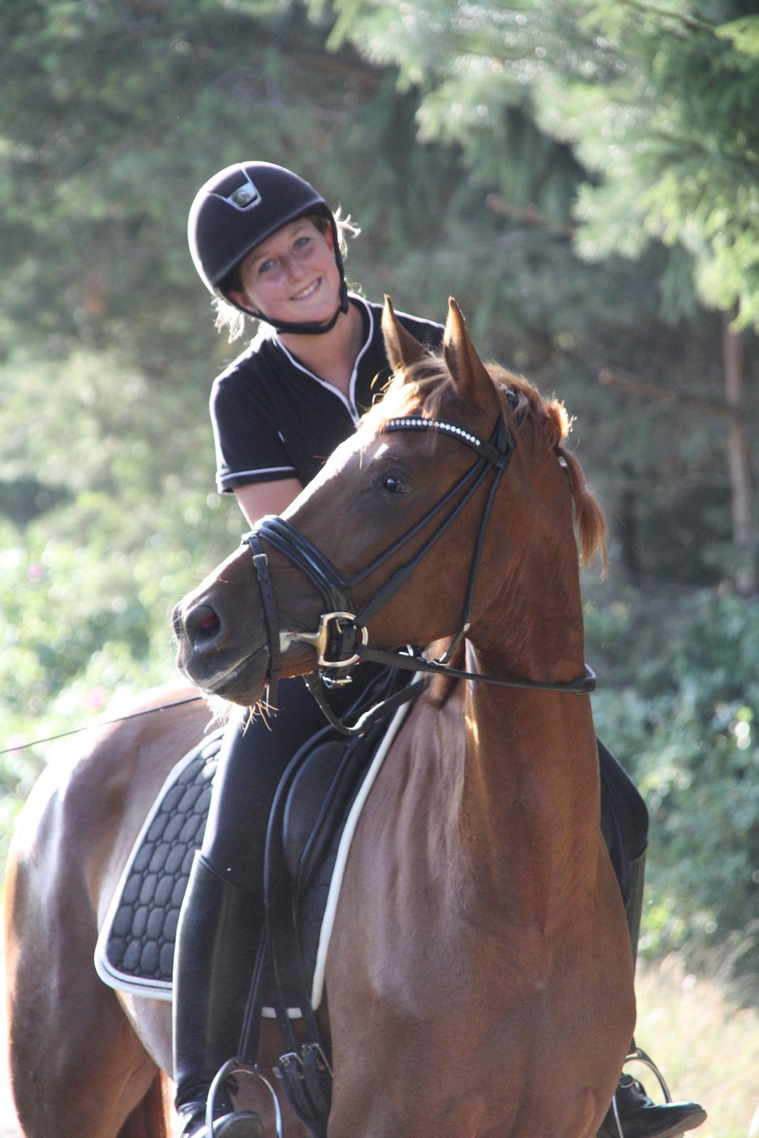 Dansk Varmblod Brunhøjgård´s Zurprise billede 23