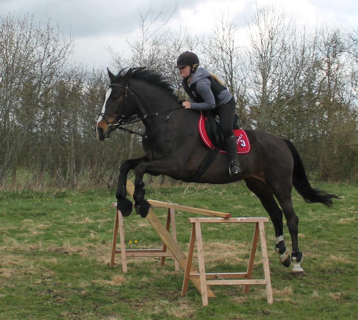 Anden særlig race Frk. Smilla <3. Part billede 19