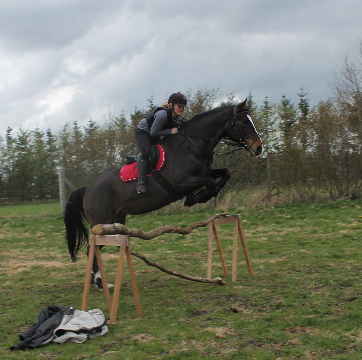 Anden særlig race Frk. Smilla <3. Part billede 20