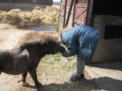 Miniature I am isabella - den dag hun ankom billede 7
