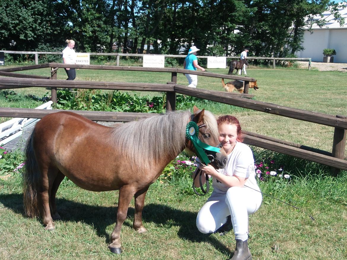 Shetlænder Tine!<3 (bamsen) - En stolt hest og hendes ejer!:D kåring med 36 point :D billede 19