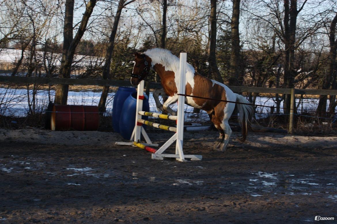 Pinto Blade - Spriiiing <3 billede 25