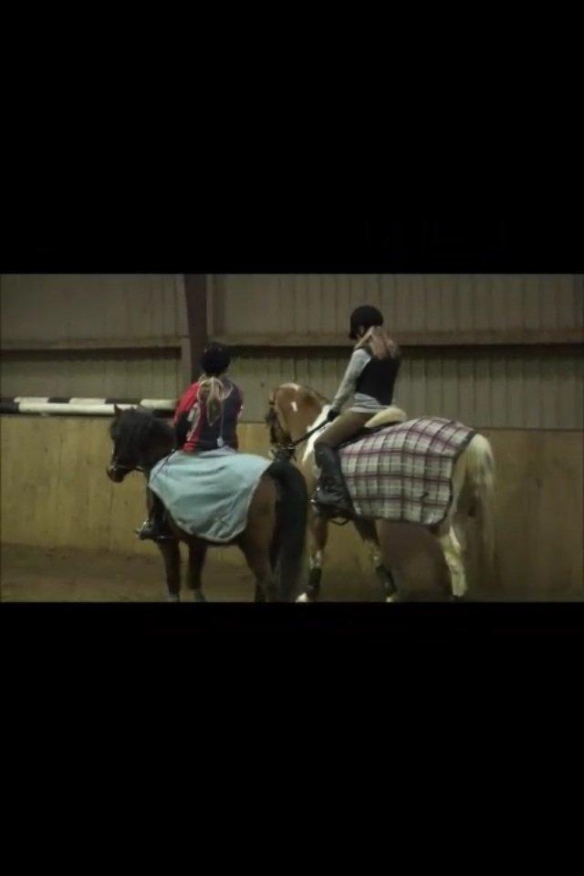 Anden særlig race Ginger <3 billede 10