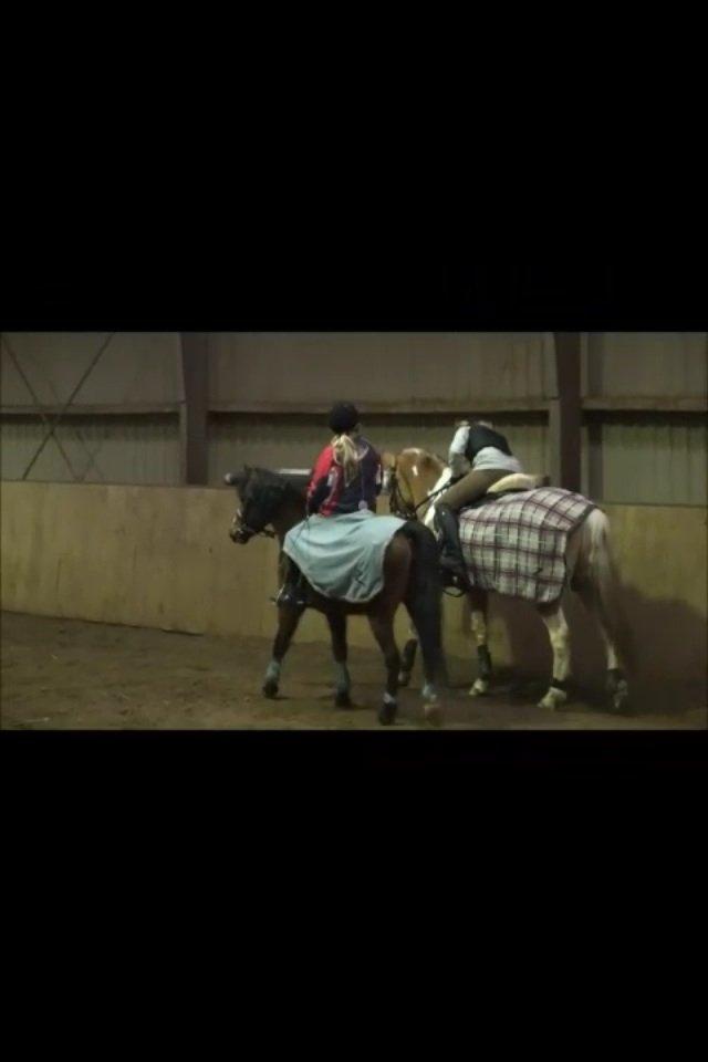 Anden særlig race Ginger <3 billede 4