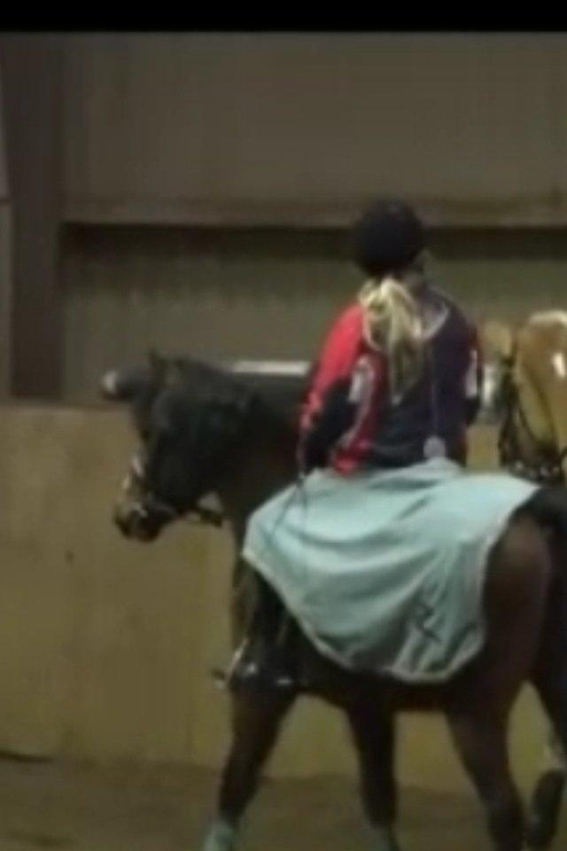 Anden særlig race Ginger <3 billede 13