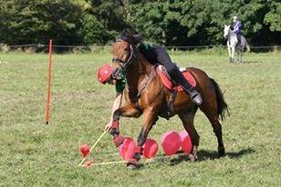 New Forest | Luxie - mammut <3 - DM Hold 2012 billede 15