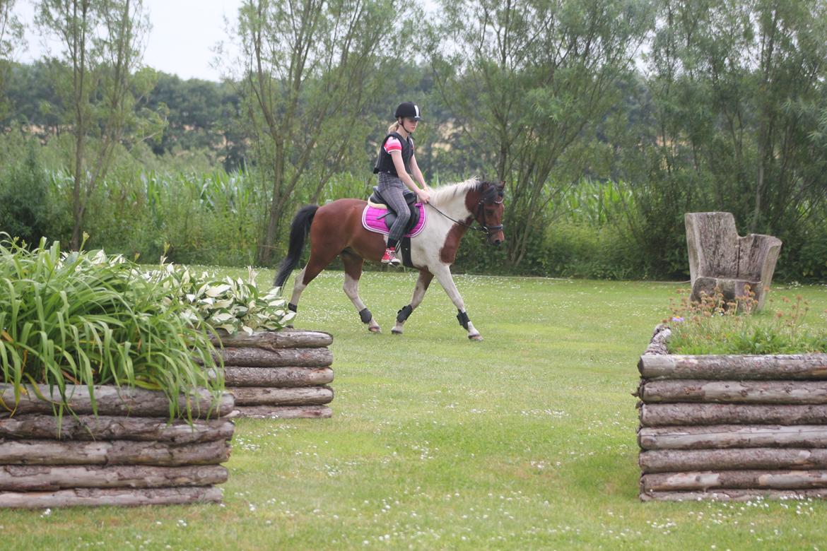 Anden særlig race Jumpy - Oppe og besøge Jumpy d. 15-07-13!:-* billede 15