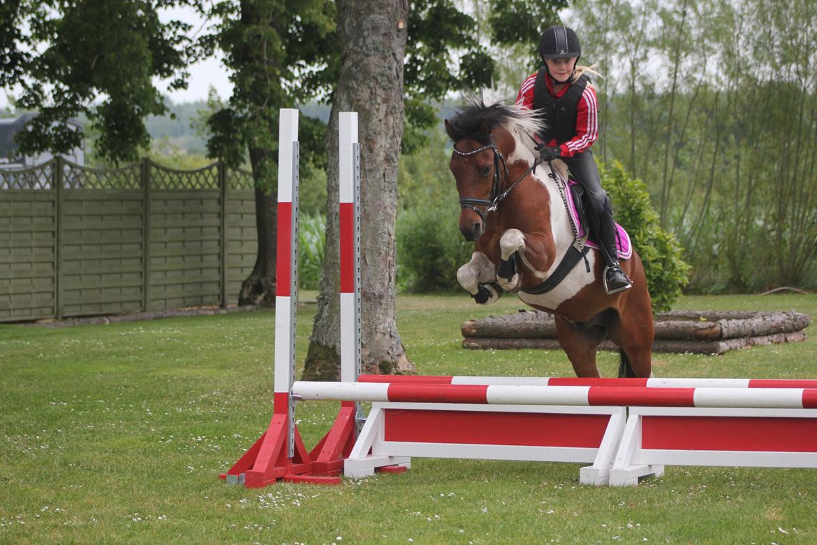 Anden særlig race Jumpy - Jumpy & Mathilde.  billede 18