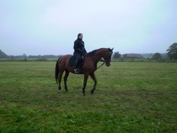 Dansk Varmblod Ronja - Kamilla og Ronja billede 5