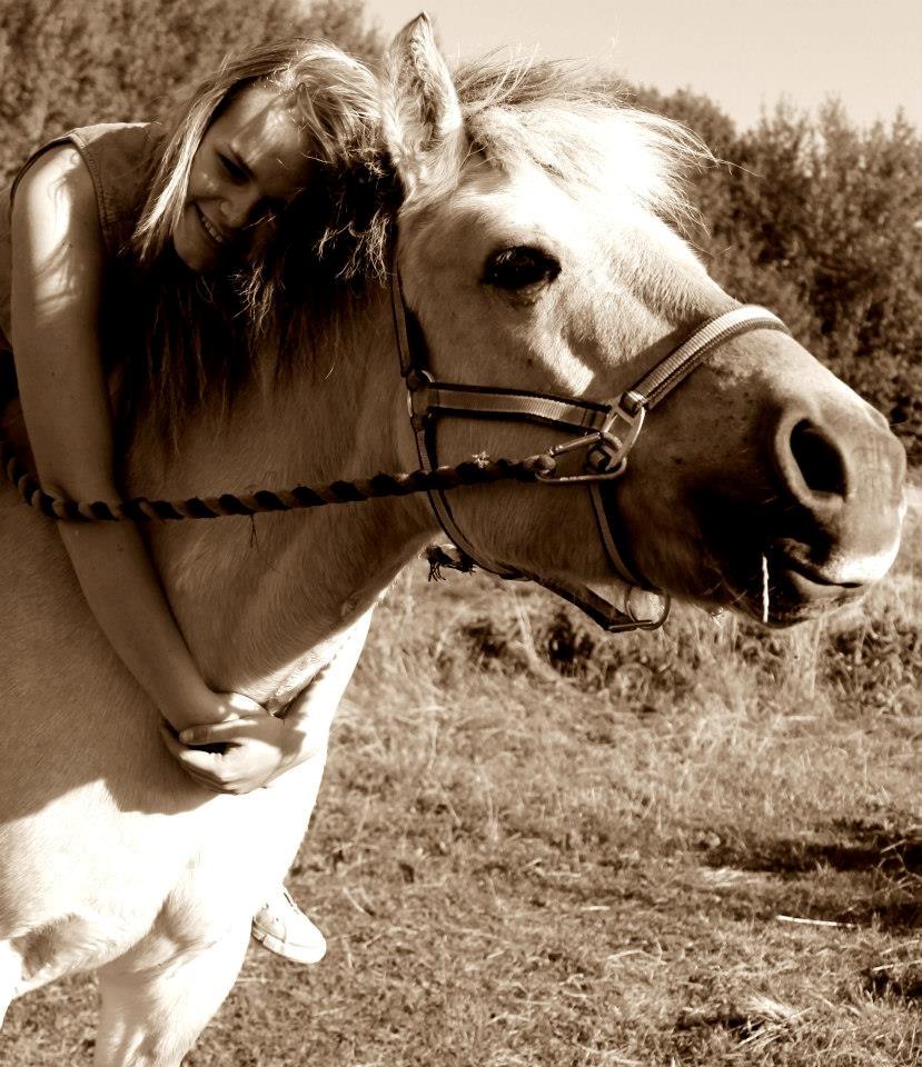 Fjordhest fjordbakkens rikke (frigga) (R.I.P) billede 1