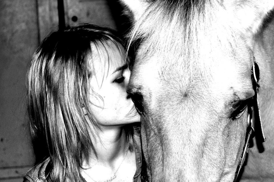 Fjordhest fjordbakkens rikke (frigga) (R.I.P) billede 10