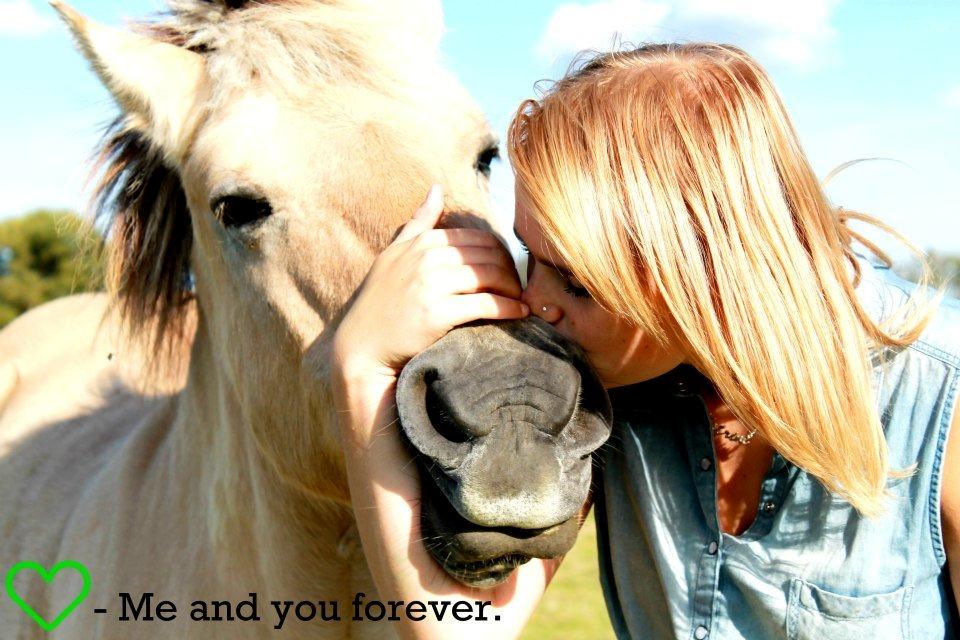 Fjordhest fjordbakkens rikke (frigga) (R.I.P) billede 18