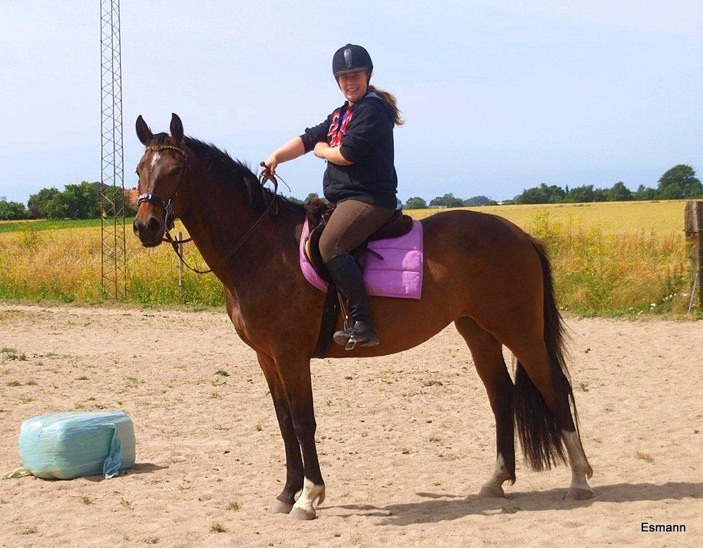 Anden særlig race Pachanga's Patience - Juli 13: Kan nu rides i alle 3 gangarter og har prøvet tur<3 billede 12