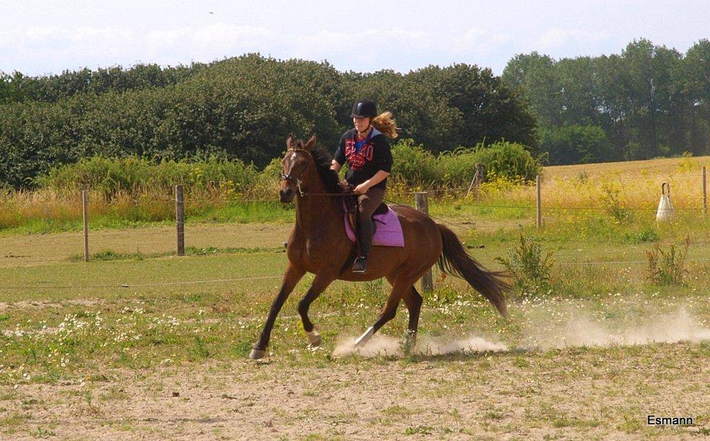 Anden særlig race Pachanga's Patience - Juli 13: tredje gang i galop :-) billede 13