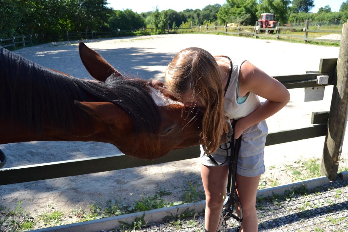 Pinto Pegasus | Soulmate | - 9) 3 ord, 12 bogstaver, 4 vokaler, en betydning - Jeg elsker dig <3 billede 9
