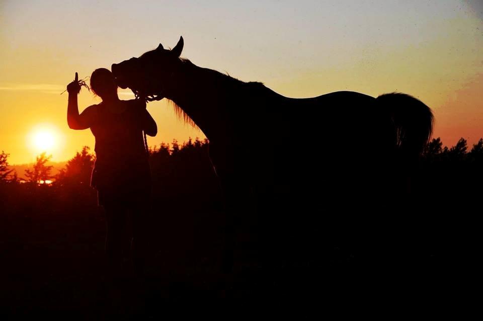 Anden særlig race » Polle <3 - Velkommen til  Polles profil.. <3  billede 2