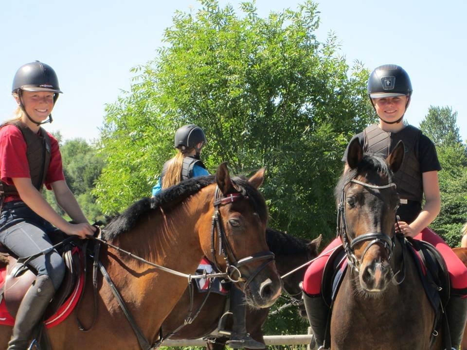 Welsh Pony (sec B) Victoria Madly <3 (A pony) billede 14