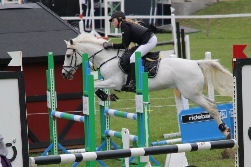 Anden særlig race Wendy * B-pony * - LB** på mors billede 9