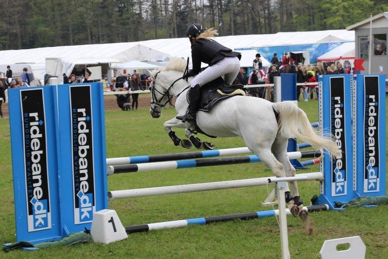 Anden særlig race Wendy * B-pony * - LB* på mors billede 10