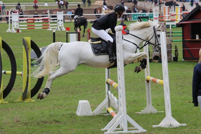 Anden særlig race Wendy * B-pony * billede 11